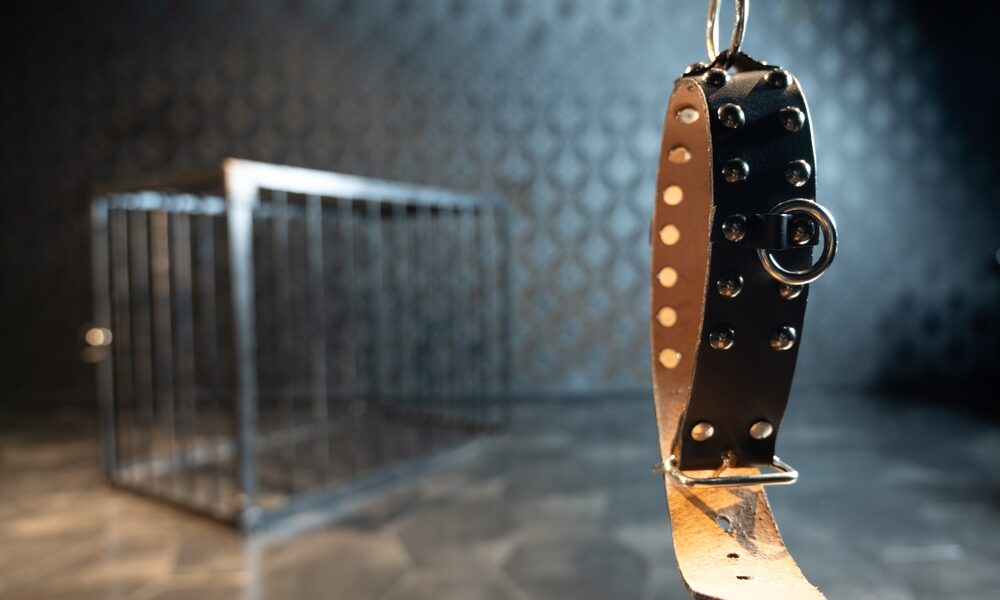 Image of a collar in the right foreground and a large cage in the left background.