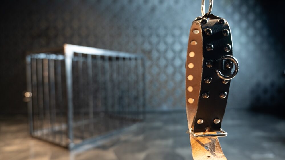 Image of a collar in the right foreground and a large cage in the left background.