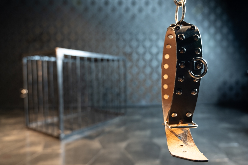 Image of a collar in the right foreground and a large cage in the left background.