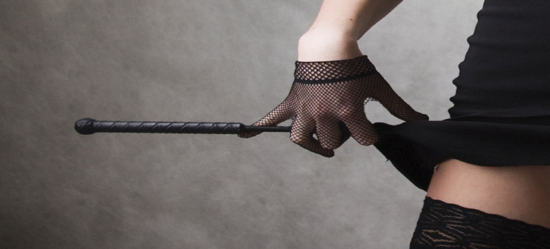 A person holding a crop with their gloved hand.